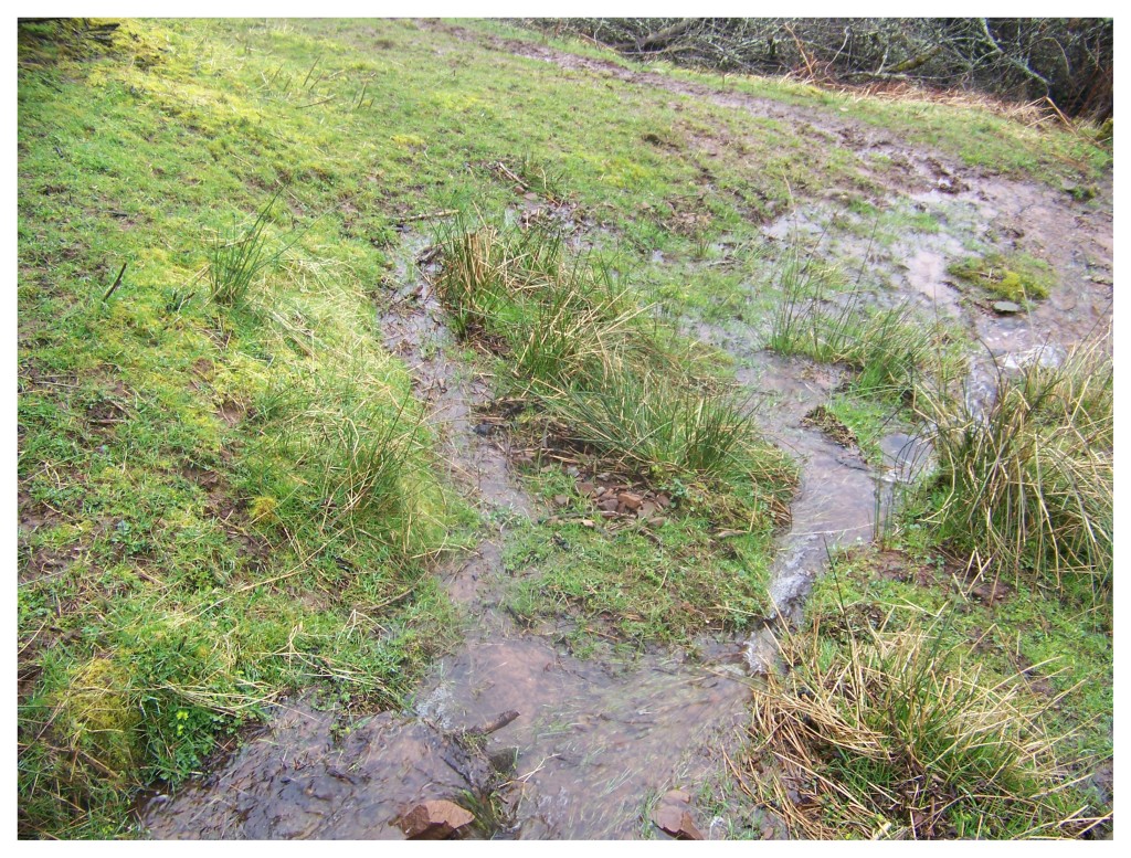 No wellies no fun - flooded paths after heavy rain around Loch Ness.
