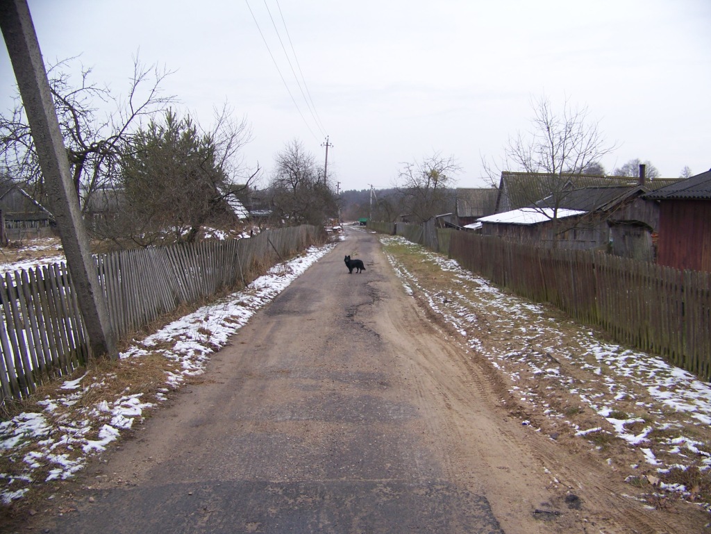 2travel4life travel blog dog village street belarus